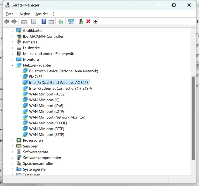 Win 11 Gerätemanager WIFI